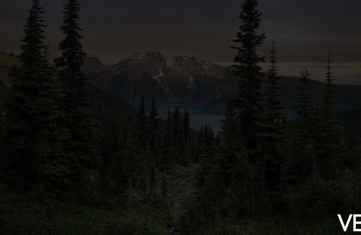 Snow-capped mountains rise above a dark lake, flanked by dense evergreen forests, all under a gloomy, overcast sky. "VERB" is visible at the bottom right.