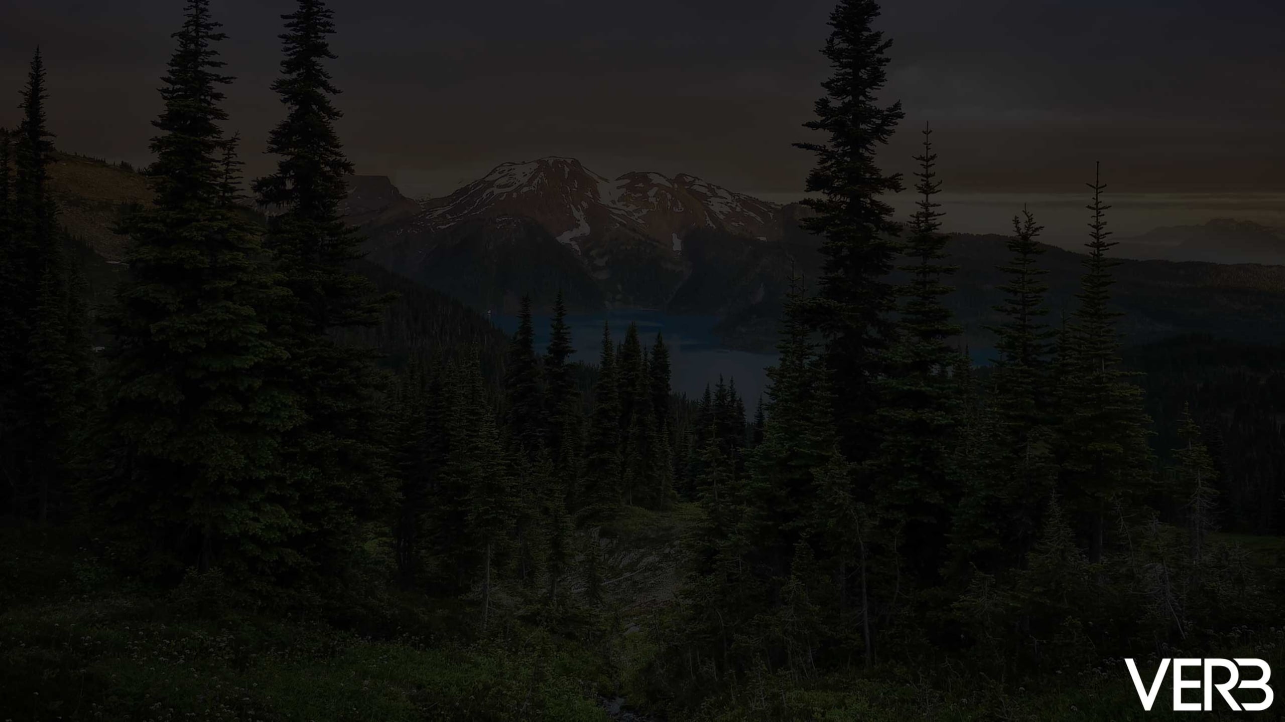 Snow-capped mountains rise above a dark lake, flanked by dense evergreen forests, all under a gloomy, overcast sky. "VERB" is visible at the bottom right.