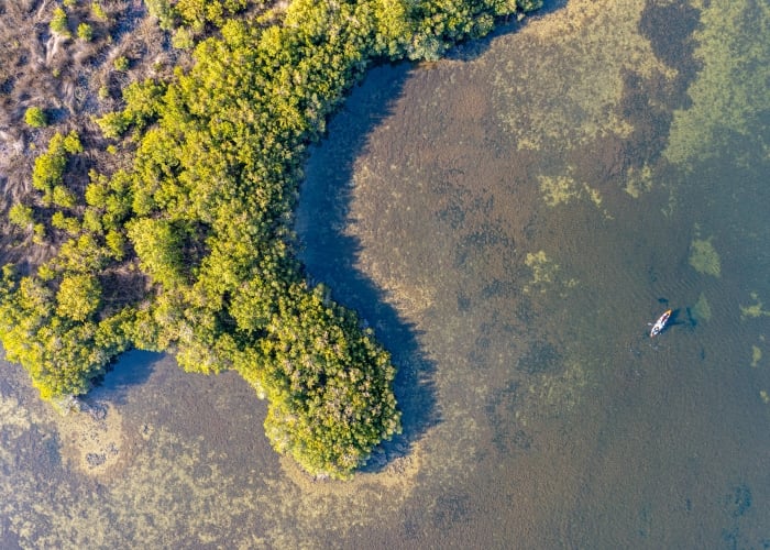 Aerial view of clear shallow water next to a lush green mangrove shoreline with a single kayak paddling in the distance.