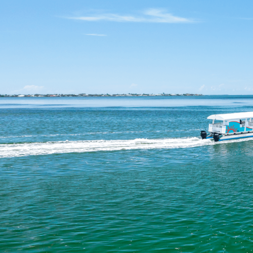 A white tour boat with blue accents speeds across bright turquoise water, leaving a white wake toward a distant, low shoreline under a clear blue sky.
