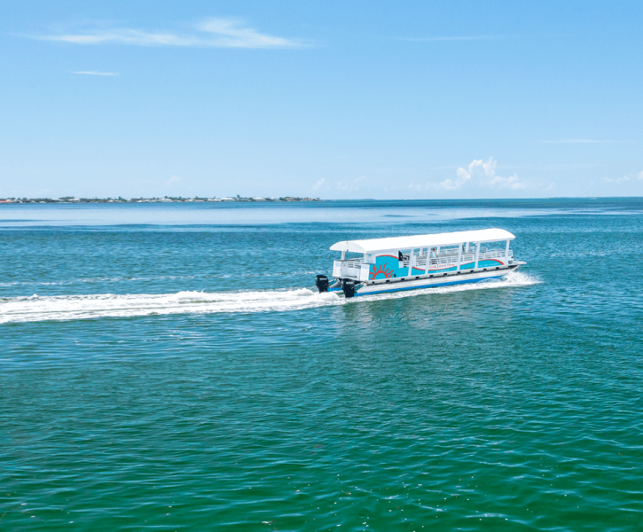A white tour boat with blue accents speeds across bright turquoise water, leaving a white wake toward a distant, low shoreline under a clear blue sky.