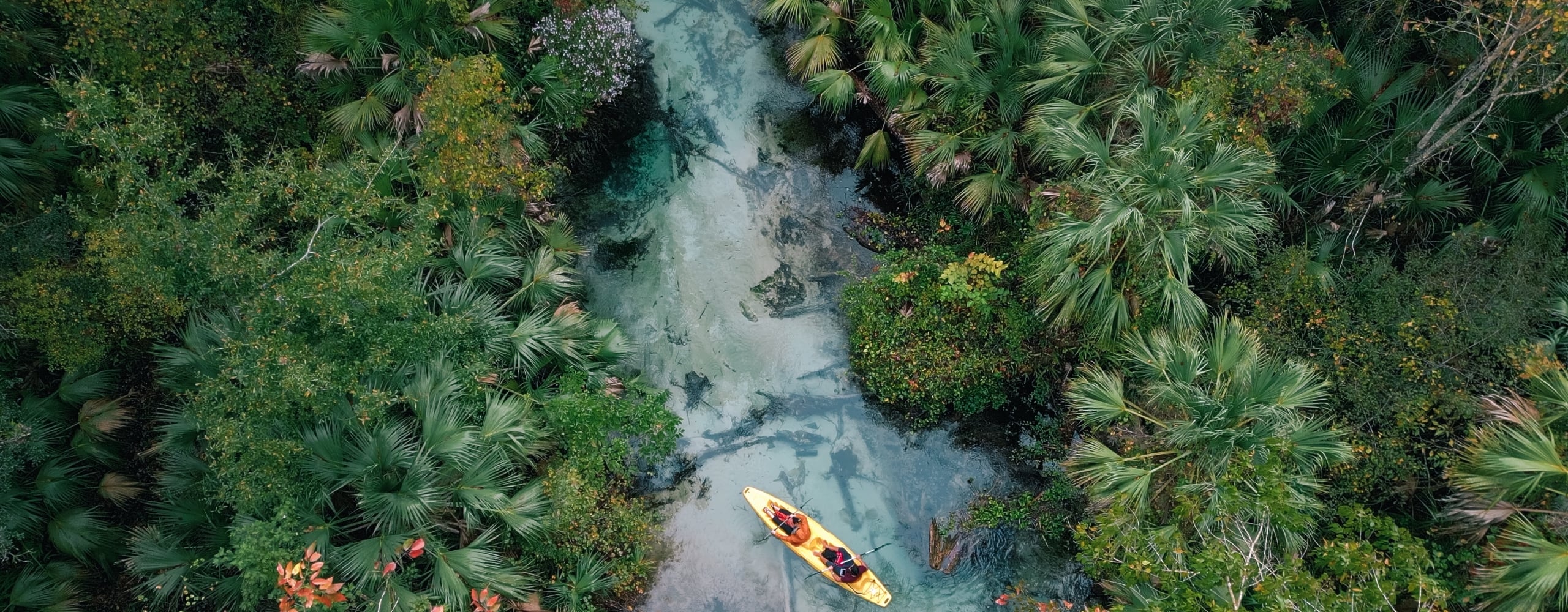 Aerial view of two people kayaking a narrow, clear blue-green spring run winding through dense subtropical forest foliage.