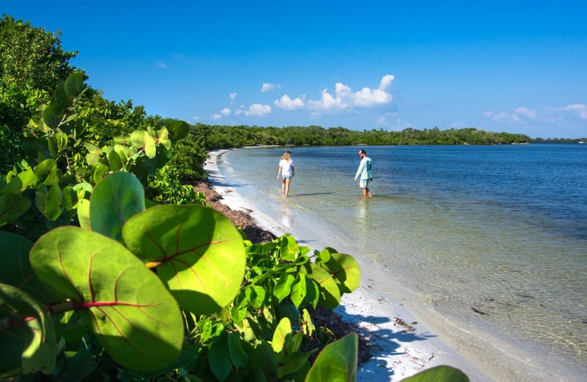 A man and a woman walk along a shallow, sandy shoreline under a bright blue sky framed by lush tropical green foliage in the foreground.