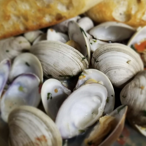 Steamed clams with herbs and a slice of toasted bread.