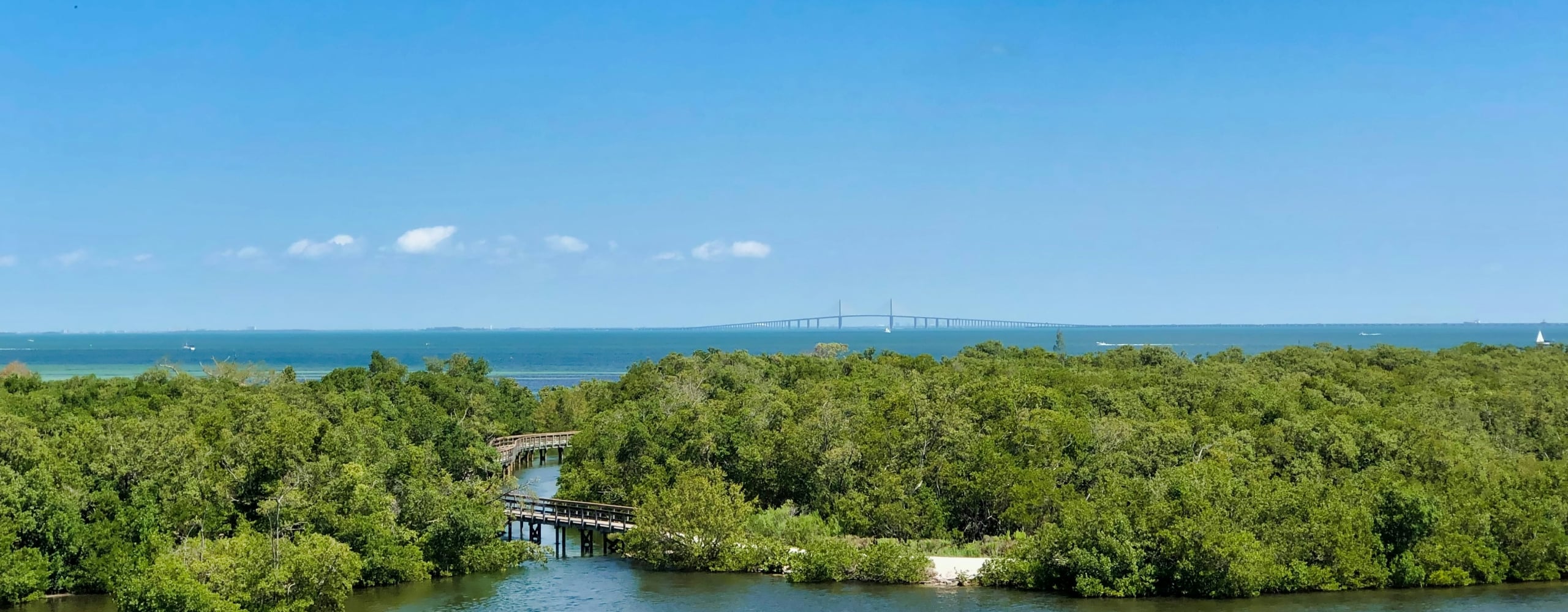 Aerial view of a wooden boardwalk curving through lush green mangrove forests next to open blue water, with a distant bridge on the horizon.