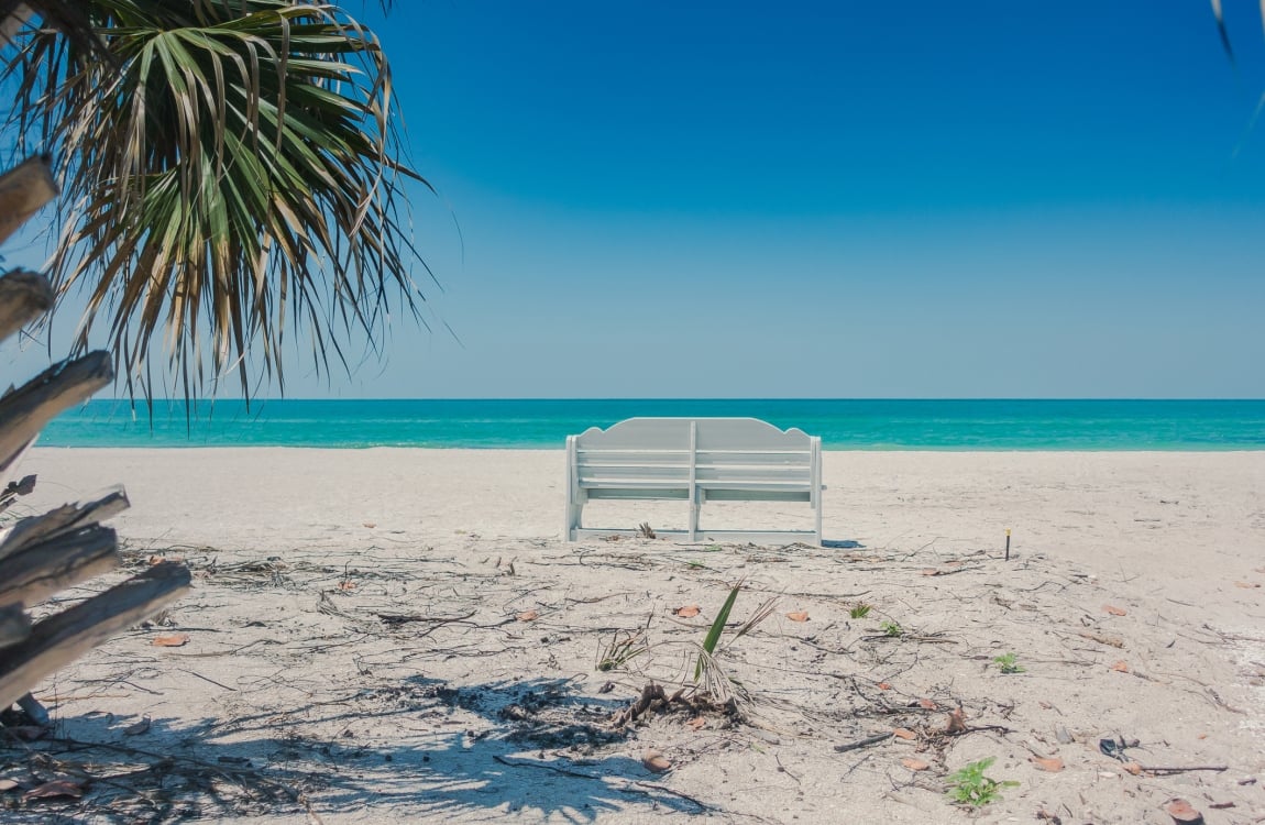 A white wooden park bench sitting on a sandy beach looking out toward the calm turquoise ocean on a bright, clear day, with a palm tree visible on the left side.