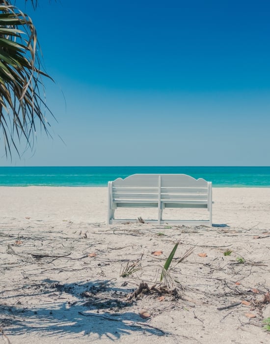A white wooden park bench sitting on a sandy beach looking out toward the calm turquoise ocean on a bright, clear day, with a palm tree visible on the left side.