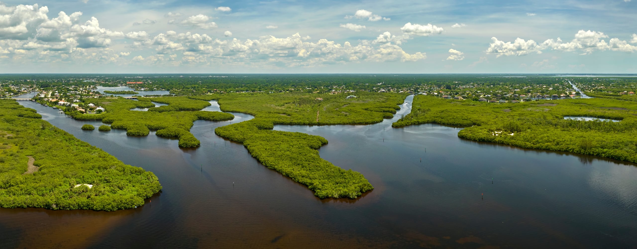 High-angle aerial view of the lush green mangrove wetlands and winding waterways of a preservation reserve on a bright day.