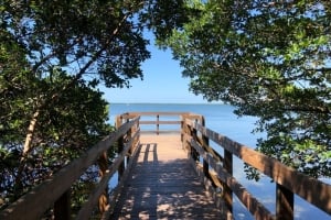 A wooden boardwalk trail at Emerson Point Preserve leading toward calm blue water, framed by lush green mangrove trees.