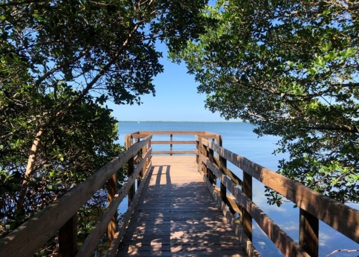 A wooden boardwalk trail at Emerson Point Preserve leading toward calm blue water, framed by lush green mangrove trees.