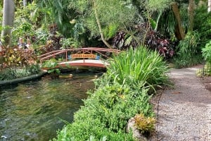 A lush, green garden scene at Sunken Gardens featuring a gravel pathway on the right that winds past dense tropical foliage, palm trees, and manicured bushes. On the left, a small pond or stream flows beneath a decorative red footbridge labeled with a "Sunken Gardens" sign, with a person visible walking on the far side.