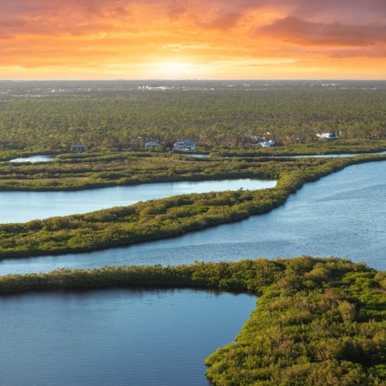 Florida wetlands with Myakka river between green wild vegetation. Tropical ecosystem at sunset.
